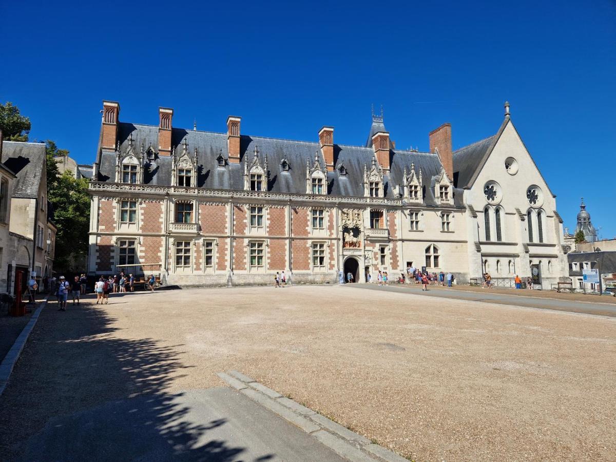 Le Saint Jean Et Son Parking Privee Apartment Blois Ngoại thất bức ảnh